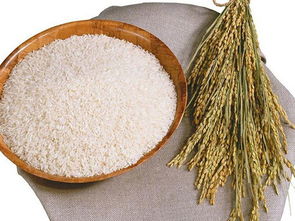 南城膳食公司 東莞區域信譽卓越的食堂承包與餐飲信息咨詢服務專家