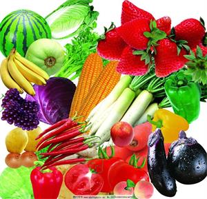 東莞旭新膳食管理 打造冬季養生多元化餐飲新體驗